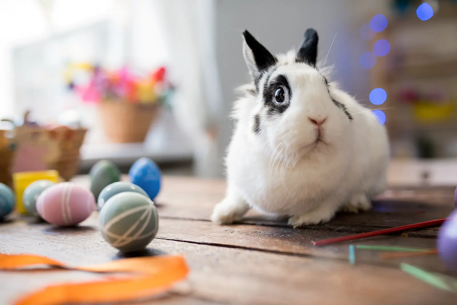 Bedeutung und Herkunft traditioneller Dekoration an Ostern 7 Bedeutung und Herkunft traditioneller Dekoration an Ostern